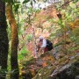 Rocky trail section near the waterfall.